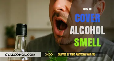 Quick Tips to Discreetly Mask Alcohol Odor Effectively and Easily
