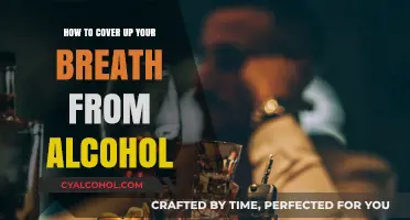 Concealing Alcohol Breath: Quick, Easy, and Effective Tricks