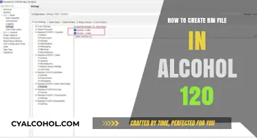 Creating BIN Files: Alcohol 120's Easy Steps
