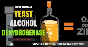 Mastering Yeast Alcohol Dehydrogenase Crystallization: A Step-by-Step Guide