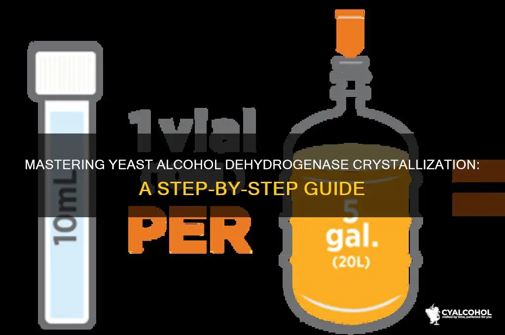 how to crystallize yeast alcohol dehydrogenase