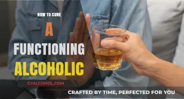 Helping Functioning Alcoholics: Effective Strategies for Recovery and Sobriety