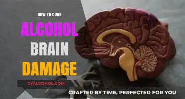 Healing Alcohol-Induced Brain Damage: Effective Strategies for Recovery and Repair