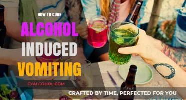 Effective Remedies for Alcohol-Induced Vomiting: Quick Relief and Recovery Tips