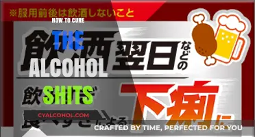 Effective Remedies to Stop Alcohol-Induced Diarrhea Fast and Naturally