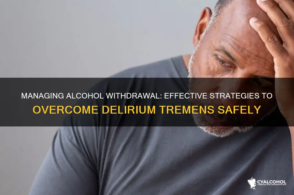 how to deal with alcohol dts