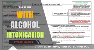 Effective Strategies to Safely Manage and Overcome Alcohol Intoxication