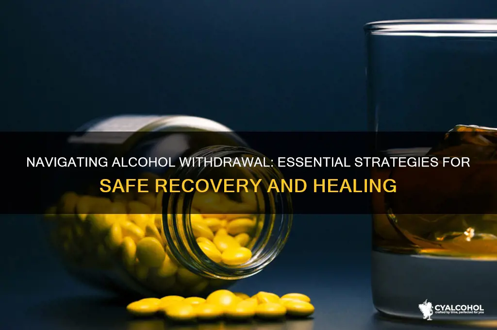 how to deal with alcohol withdrawl