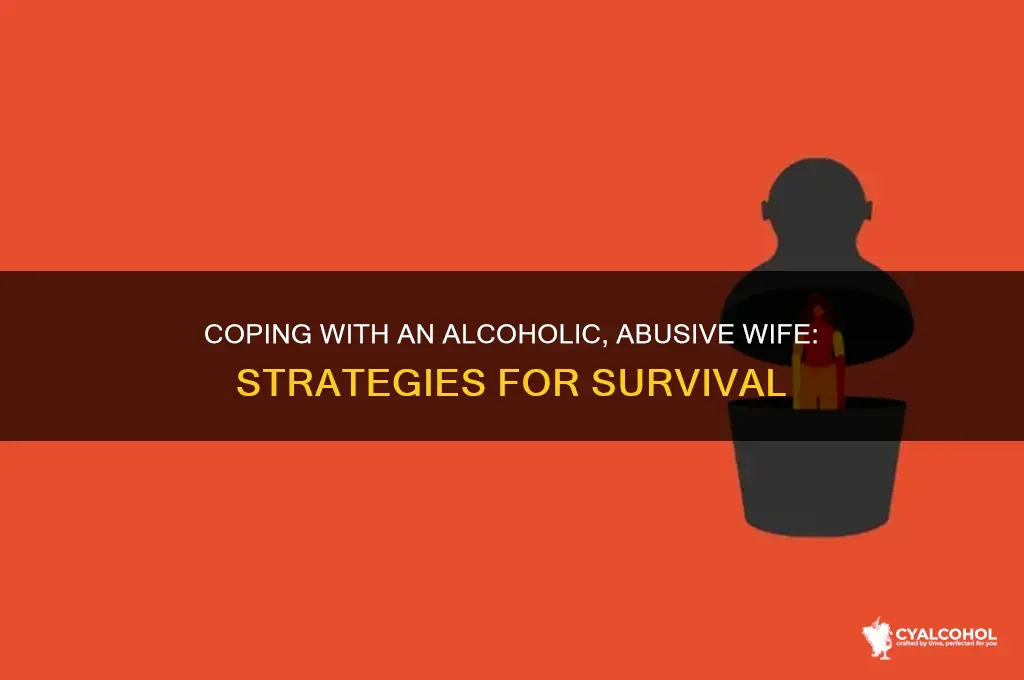 how to deal with an abusive alcoholic wife