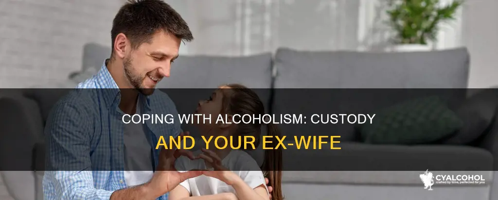 how to deal with an alcoholic ex wife custody
