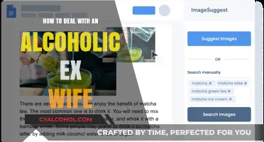 Coping with an Alcoholic Ex-Wife: Strategies for Moving Forward