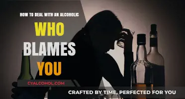 Dealing with an Alcoholic's Blame: Your Guide