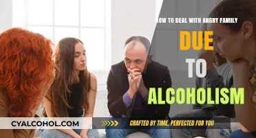Battling Alcoholism: Strategies for Dealing with Angry Family