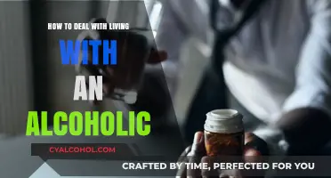 Coping with an Alcoholic: Strategies for a Sober Life