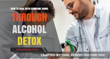 Helping a Loved One Through Alcohol Detox: A Guide