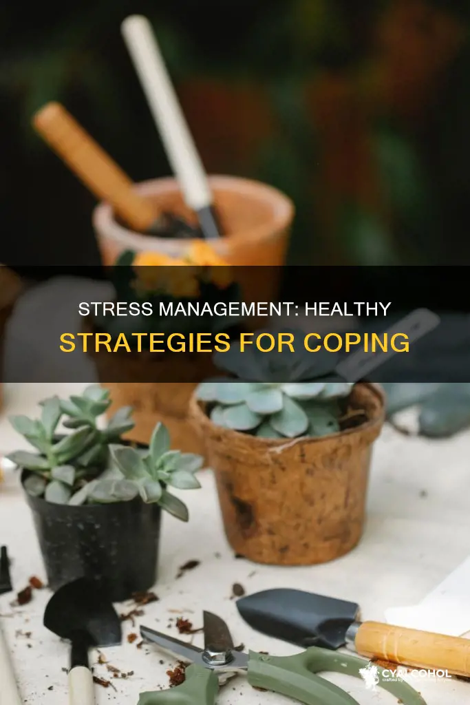 how to deal with stress without alcohol or food