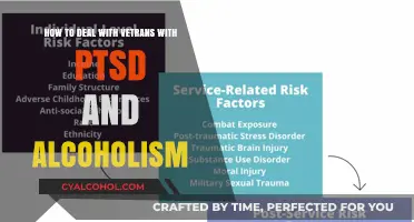 Helping Veterans Cope: PTSD and Alcoholism