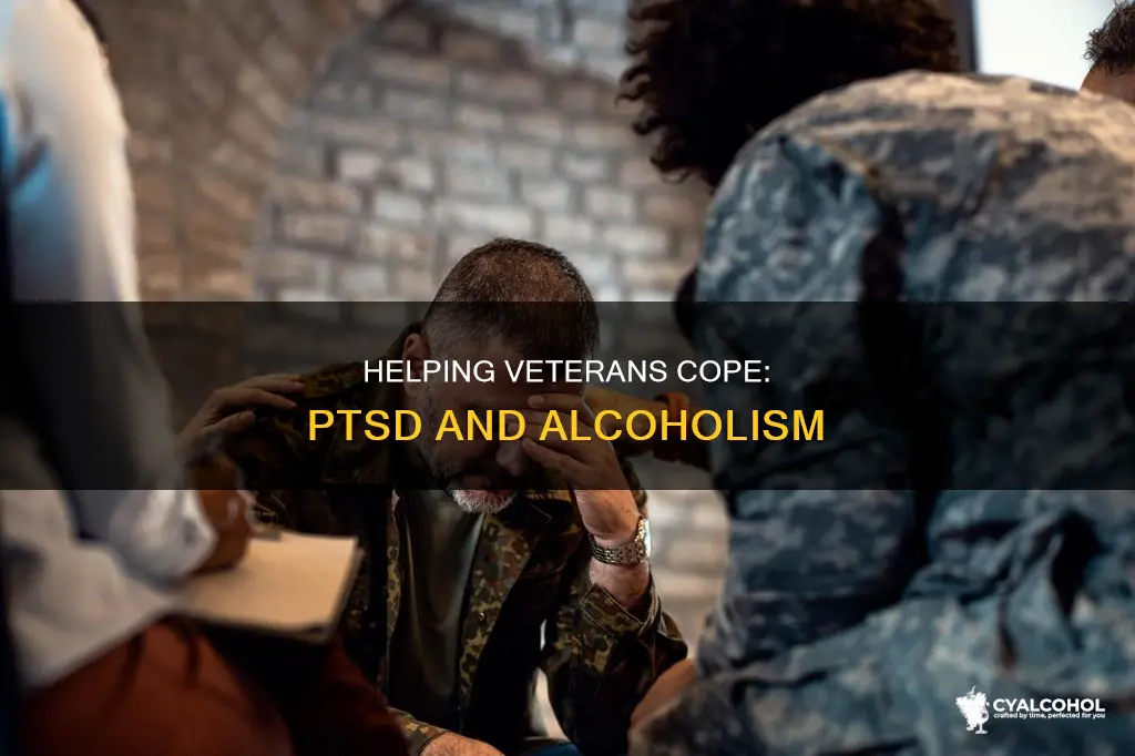 how to deal with vetrans with ptsd and alcoholism