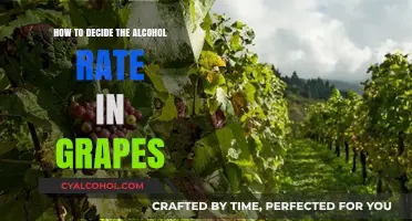 Gauging Grape Alcohol Content: The Science Behind It