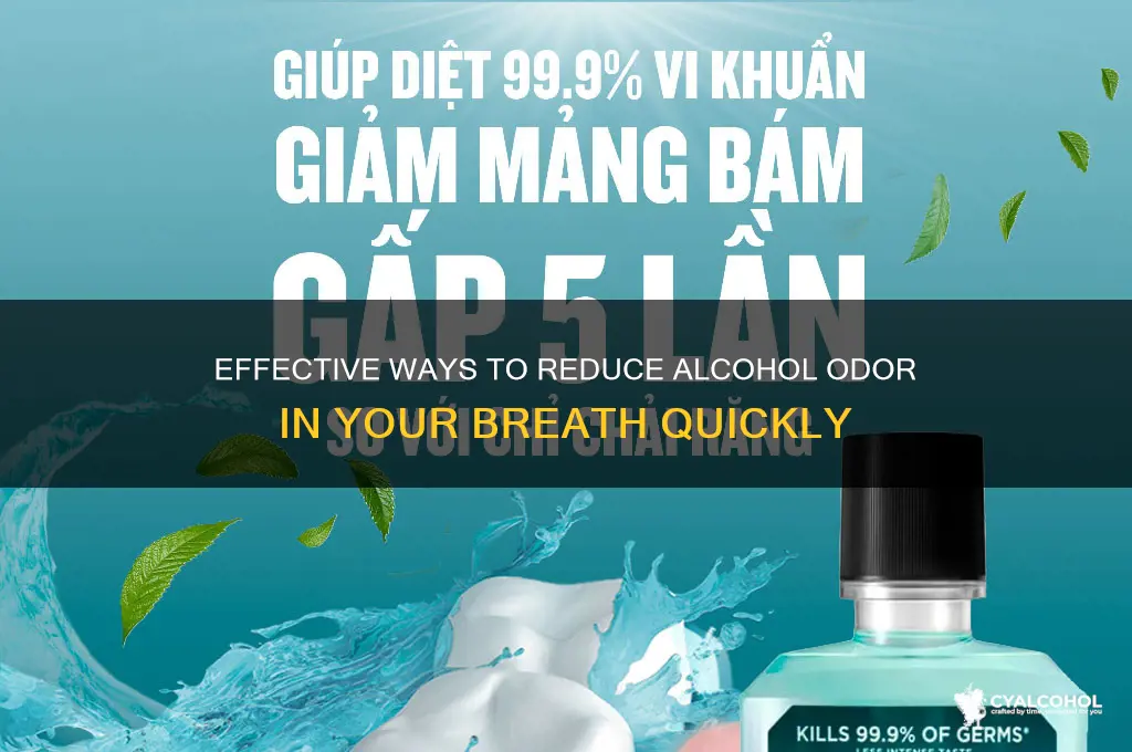 how to decrease alcohol in breath