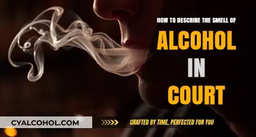 Describing Alcohol Odor Evidence in Court: Effective Strategies