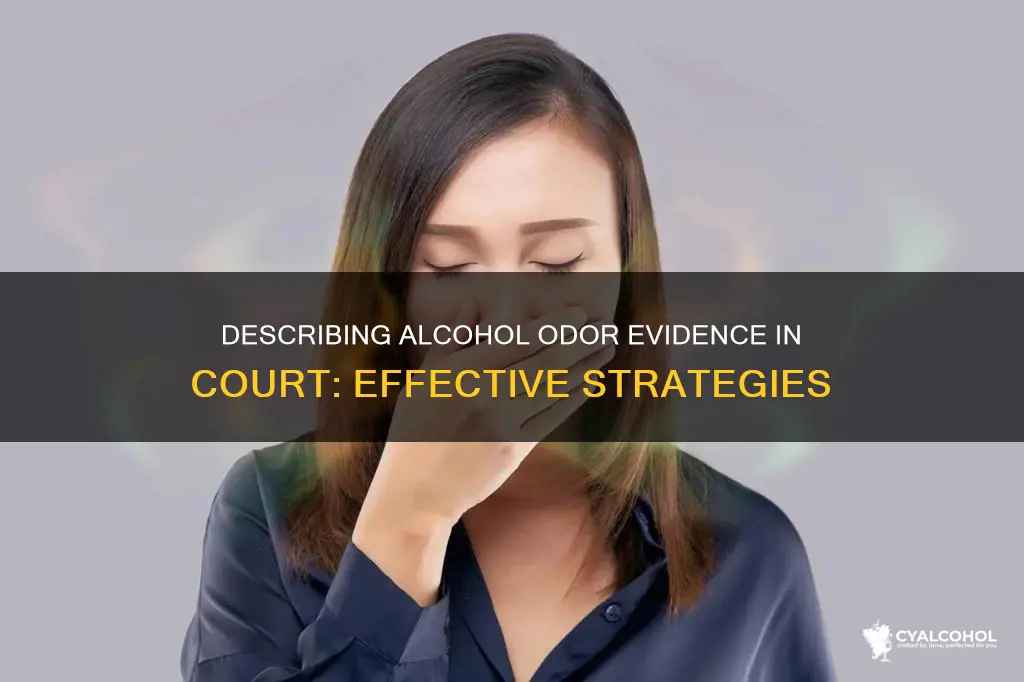 how to describe the smell of alcohol in court