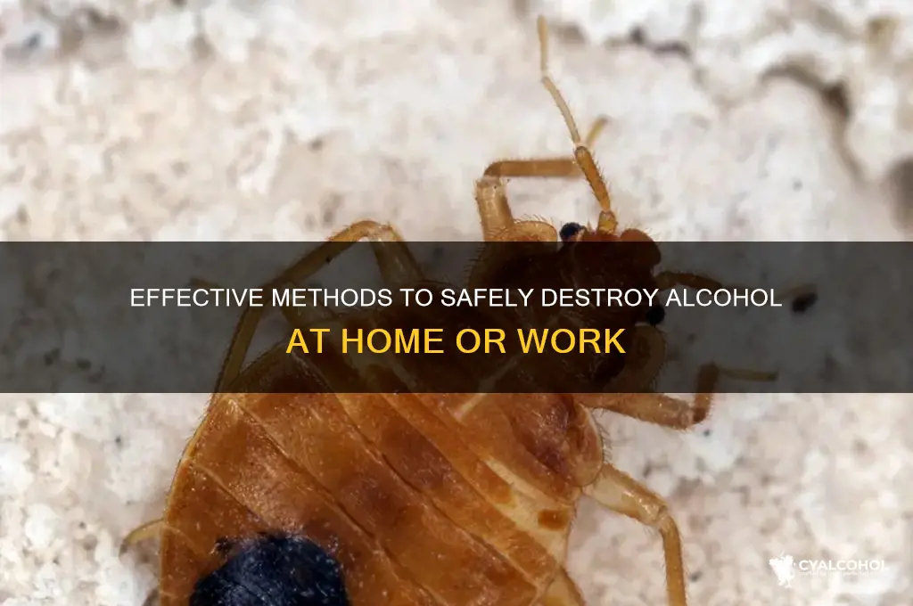 how to destroy alcohol