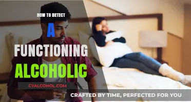Spotting a Functioning Alcoholic: Signs, Behaviors, and Red Flags