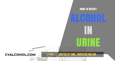 Detecting Alcohol in Urine: Accurate Methods and Testing Tips