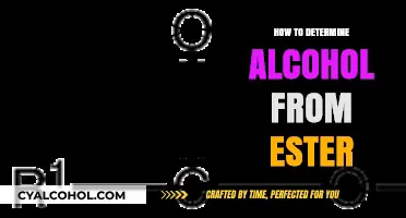 Distinguishing Alcohol from Ester: A Comprehensive Analytical Guide