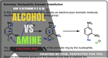 Differentiating Alcohols and Amines: A Quick Guide