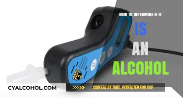Recognizing Alcohol: What Qualifies as Alcoholic?
