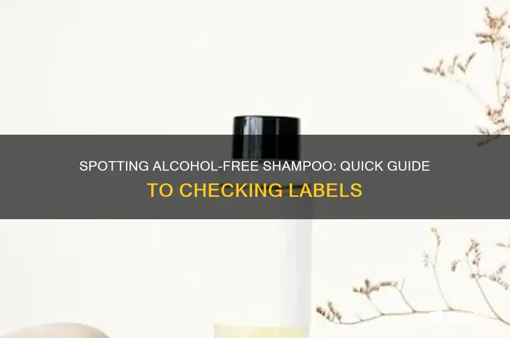 how to determine if shampoo is alcohol free