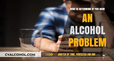 Alcohol Problems: Recognizing the Signs and Symptoms