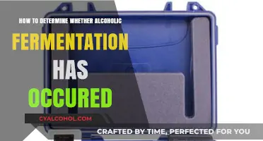 Detecting Alcoholic Fermentation: Testing for Alcohol