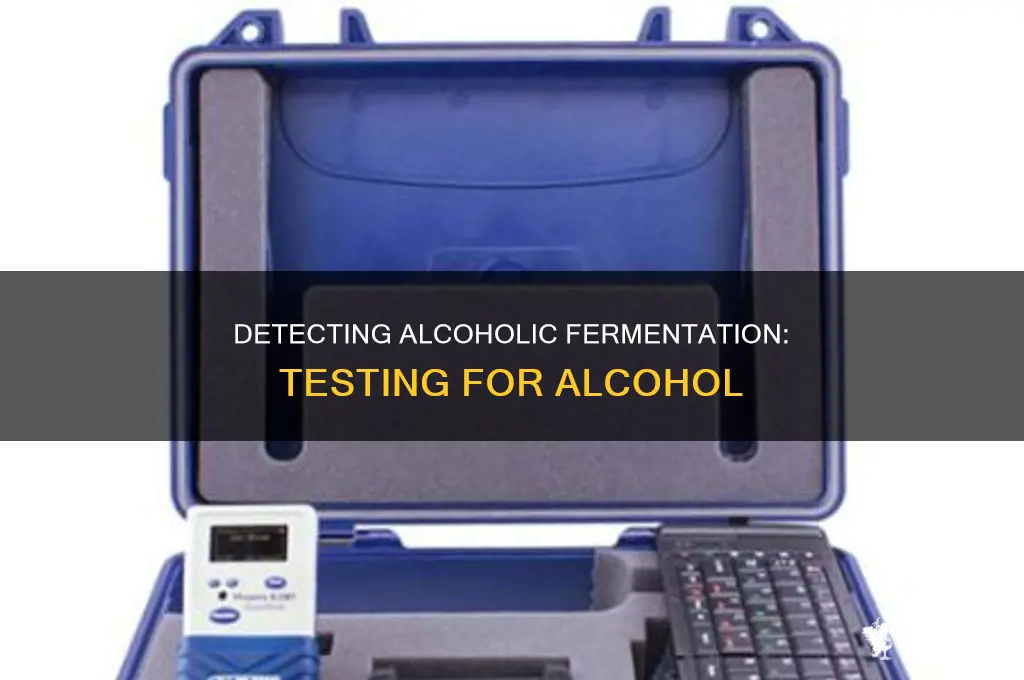 how to determine whether alcoholic fermentation has occured
