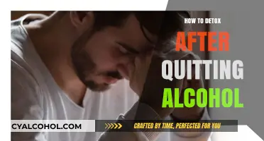 Reclaim Your Health: Essential Steps to Detox After Quitting Alcohol