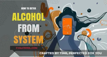 Effective Ways to Safely Detox Alcohol from Your System Fast