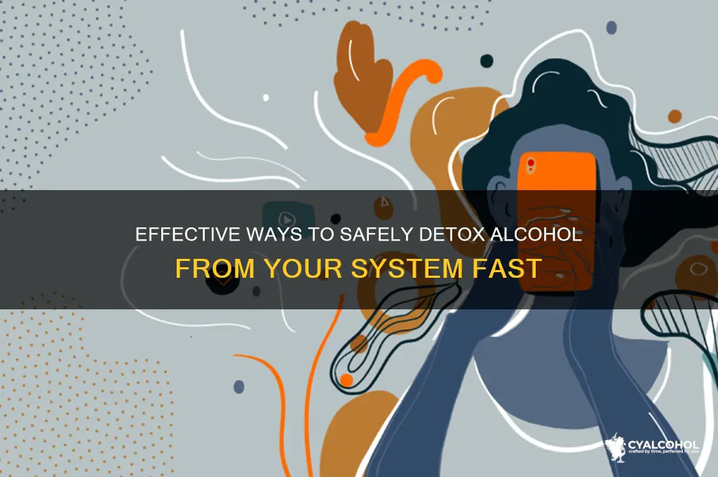how to detox alcohol from system
