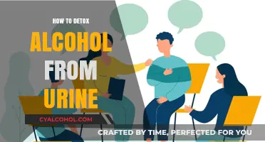 Effective Ways to Naturally Detox Alcohol from Urine Fast