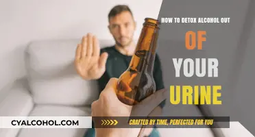 Detoxing Alcohol from Urine: Effective Strategies for Quick Results