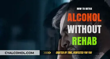 Effective Home Strategies for Alcohol Detox Without Rehab Assistance