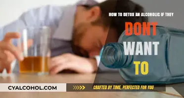 Helping Alcoholics Detox: Strategies for Supportive Care