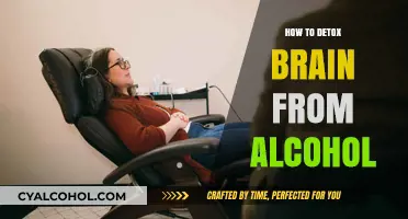 Detox Your Brain: Effective Strategies to Recover from Alcohol's Impact