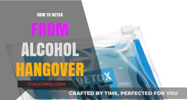 Effective Ways to Detox and Recover from Alcohol Hangover Quickly