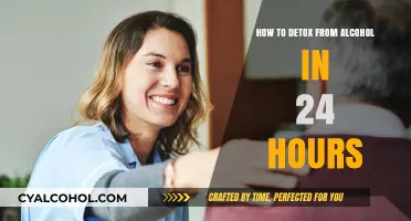 Detoxing from Alcohol: A 24-Hour Guide to Recovery
