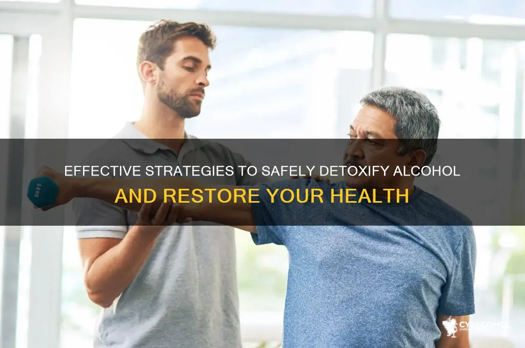 how to detoxify alcohol