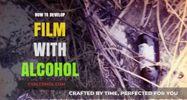 DIY Film Development: Using Alcohol for Unique Analog Photography Results