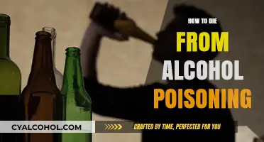 Deadly Dangers: Understanding and Preventing Alcohol Poisoning Risks