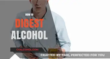 Mastering Alcohol Digestion: Tips for Faster Recovery and Comfort